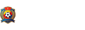 世界杯半决赛直播